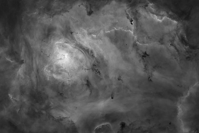 Hive, 2011
from 'Half of the Whole'
pigment print