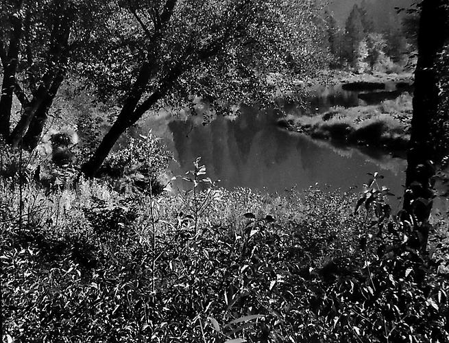 Indian Creek Near Indian Falls, Northern Sierra Nevada, CA
gelatin silver print