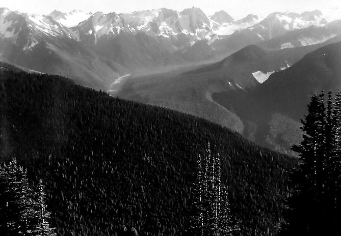 Tenpeak Range is in the North Cascades, Washington, USA
1956
gelatin silver print