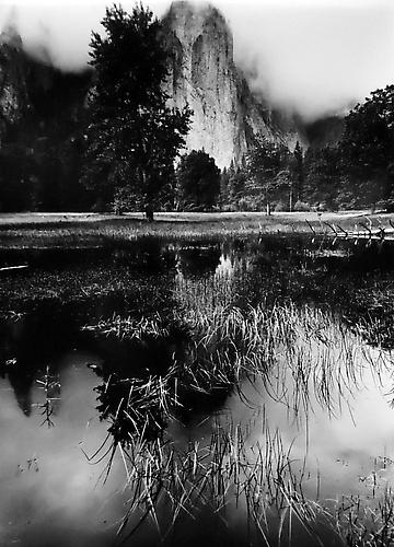 Pond, Meadow, Cathedral Rocks, Yosemite
1962
gelatin silver print