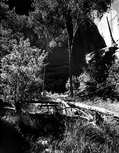 Pot Canyon, Tributary to Escalante River, Glen Canyon, Utah
1964
gelatin silver print