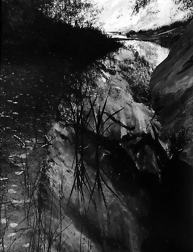 Scorpion Gulch, Escalante River Escalante Wilderness
1968
gelatin silver print