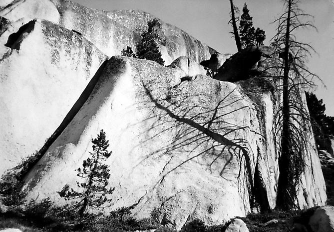 Snag and Shadow On Granite Wall, Northern Yosemite
1950
gelatin silver print