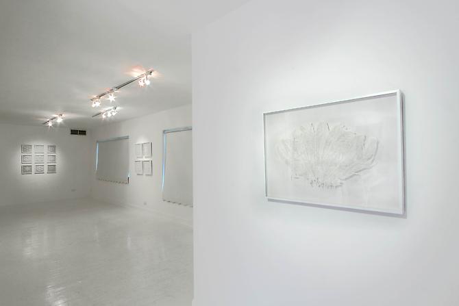 "Water Has A Memory" Exhibition