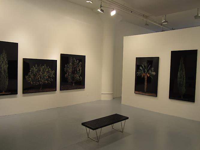  In Praise of a Dream , 2011
Installation shot