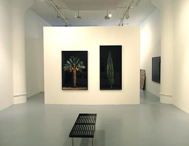  In Praise of a Dream , 2011
Installation shot