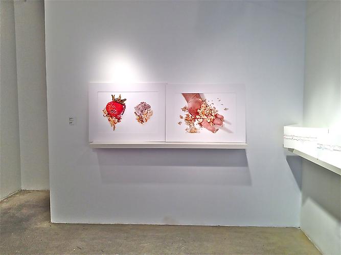PATRICK MIKHAIL EDITIONS | PATRICK MIKHAIL GALLERY | INSTALLATION VIEW