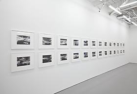 Roland Flexner in Art in America