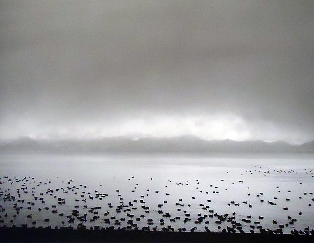 Inawashiro Lake, Japan
2005
gelatin silver print