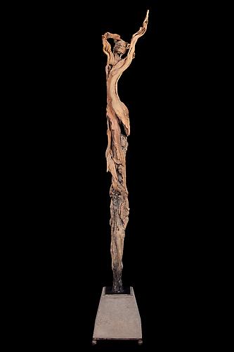 GAIA, 2011									
Polychromed hydrocal, wood, steel, and resin on a concrete base
77 x 12 x 12 inches