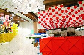 JACOB HASHIMOTO
