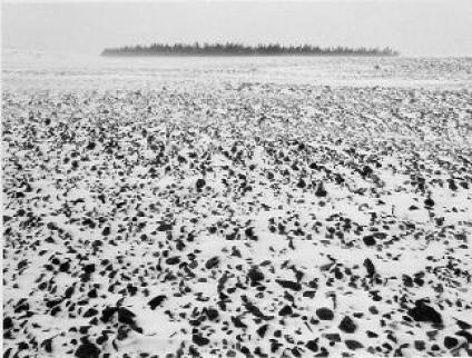 Jurmo, Finland
1973
gelatin silver print