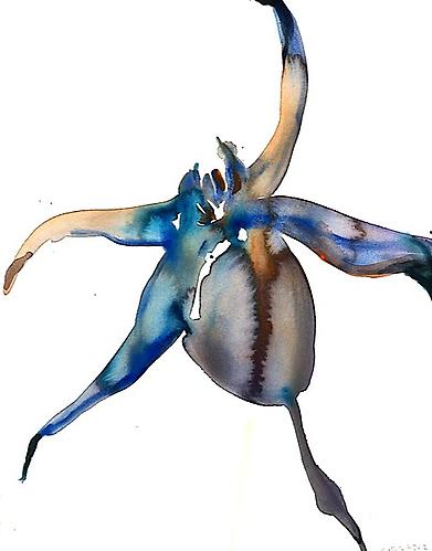 Blue Rose Hip (2012)
Watercolor On Paper
22h x 15w in (55.88h x 38.1w cm)