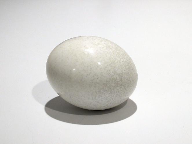 Karin Sander
Ostrich Egg 2005 
approx. 4 3/4 x 6 x 4 3/4 inches
ostrich egg, polished, cooked