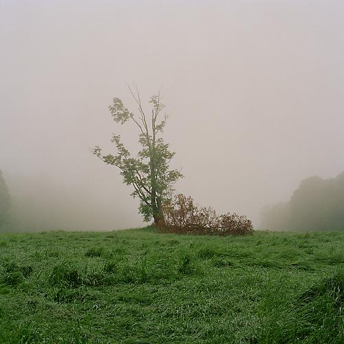 Crow's Field, 2011
from 'Know Me For the First Time'
pigment print