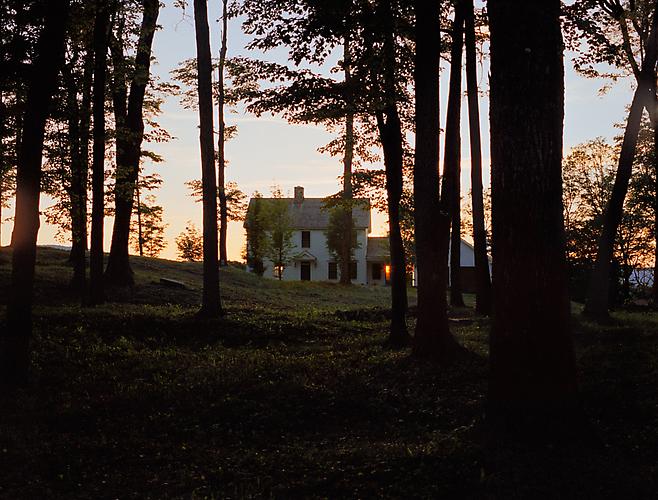 Forest House, 2011