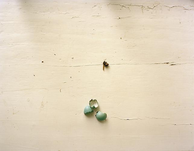 Windowsill, 2011
pigment print