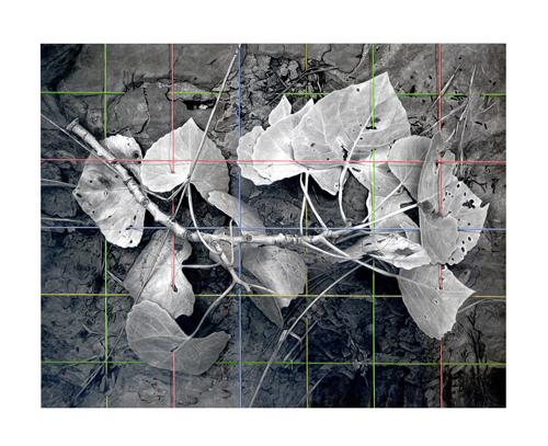  Net , 2008, graphite and watercolor on paper, 19 x 22 inches