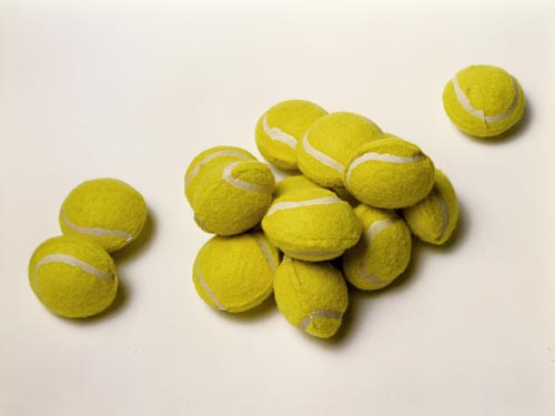  Almejas , 2006, cuts on rubber, dimensions variable