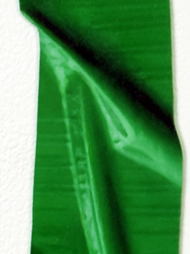  Green Tape (detail) , 2011, oil on paper, 24 x 2 inches
