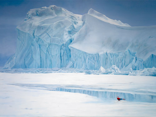  Offside , 2006, oil on linen, 48 x 68 inches