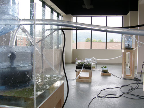  Managed Flow Echo Systems , 2005, site-specific installation, Turchin Center for the Arts, ASU, North Carolina, water, plastic tubing, pumps, containers found on site, aquatic plants, PVC pipe, electrical cords, mirror, sink found on site, dimensions vary
commission