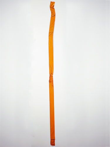  Orange Strip (76 inches) , 2011, oil on paper, 76 x 2 inches