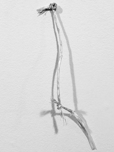  String , 2011, oil on paper, 8.5 inches long