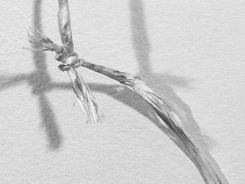  String (detail) , 2011, oil on paper, 8.5 inches long