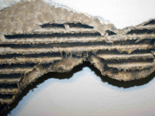  Untitled (detail) , 2011, oil on cardboard, 17 x 13.5 inches each