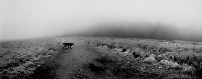 Lianwuno, Wales
1995
gelatin silver print