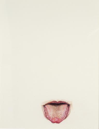 Lick Line #18, 2003
Colored pencil on paper
16 x 12 inches