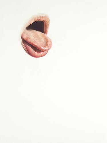 Lick Line #24, 2003
Colored pencil on paper
16 x 12 inches
