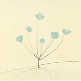 Louise Bourgeois