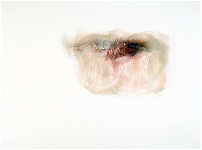 Lure #3, 2007
Colored pencil on paper
17 3/4 x 23 1/2 inches