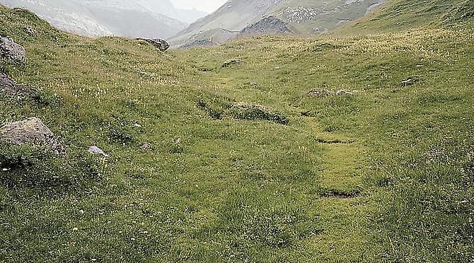 JESSICA AUER | MEADOW  | C-PRINT MOUNTED ON DIBOND | DIMENSIONS VARIABLE | 2012