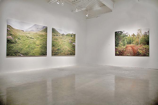 MEADOW | INSTALLATION VIEW | PATRICK MIKHAIL GALLERY | MARCH TO APRIL 2012

In MEADOW, Jessica Auer presents a photographic installation that questions our perception of nature. In this body of work, Auer looks at the simulated environment of the meadow from multiple perspectives.  Created in part on a journey throughout Europe, MEADOW begins as a personal exploration of the artist’s family name and history. Auer, whose name translates as “from the meadow,” embarked on a search for places that bear this description. Observing that these idyllic sites are mostly an illusion of nature; often the trees have been cut down and trails have been blazed, Auer recognizes that as human beings, we also impose our own cultural impressions upon the meadow. Figured throughout the history of painting and photography, and used as a stage in literature and cinema, the meadow cannot help but bear the nuances of a tranquil paradise. Reality and imagination interweave throughout this installation of large-scale photographs. Although offered as the setting for Auer’s own personal mythology, Auer invites the viewer to bring his or her own reveries to the MEADOW.
