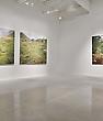 JESSICA AUER'S PMG SOLO EXHIBITION "MEADOW" REVIEWED IN THE CURRENT ISSUE OF MAGENTA MAGAZINE | READ THE REVIEW BY ART SCHOLAR J