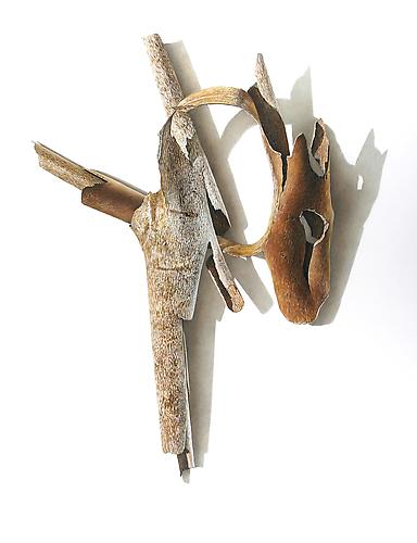 Sycamore Series #6, 2003
Colored pencil on paper
23 x 17 1/2 inches