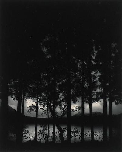 Numazama Lake, Fukushima, Japan
2005
gelatin silver print