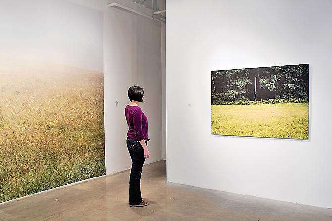 JESSICA AUER | MEADOW | PATRICK MIKHAIL GALLERY | INSTALLATION VIEW