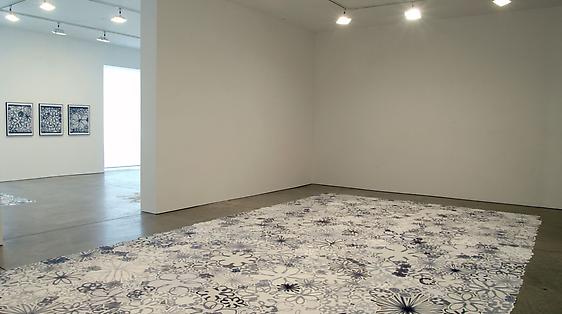 Polly Apfelbaum
