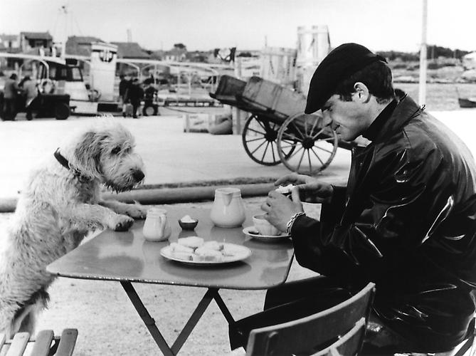 Lunch off-set with Jean-Paul Belmondo and dog (Peau De Banane)
1963
gelatin silver print