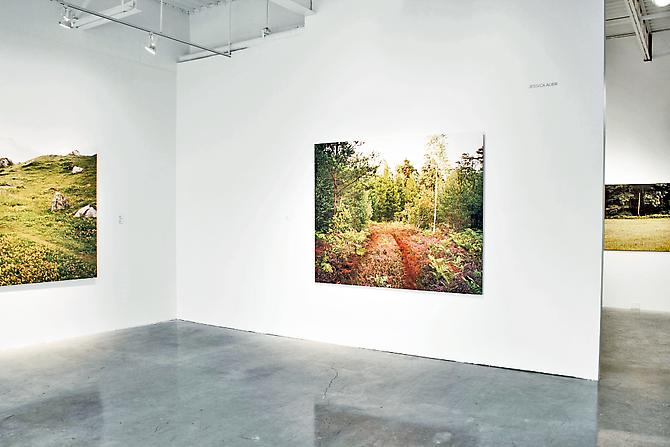 JESSICA AUER | MEADOW | PATRICK MIKHAIL GALLERY | INSTALLATION VIEW
