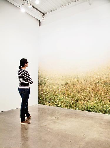 JESSICA AUER | MEADOW | PATRICK MIKHAIL GALLERY | INSTALLATION VIEW