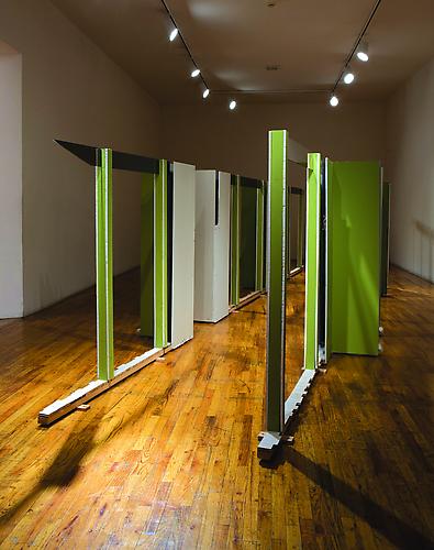 Heather Rowe
Green Desert, 2006
floor boards, glass, mirrors, sheet rock, found frames, and shag carpet
67 x 248 x 88 inches