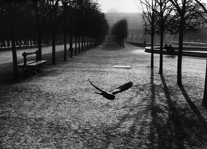 Palais Royal, Paris, France
1988
gelatin silver print