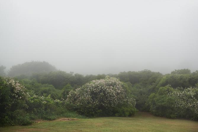 Pea Soup, 2011
Archival pigment print
Edition of 10
20 x 30 inches