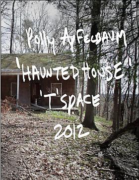 Polly Apfelbaum's Haunted House at "T" Space