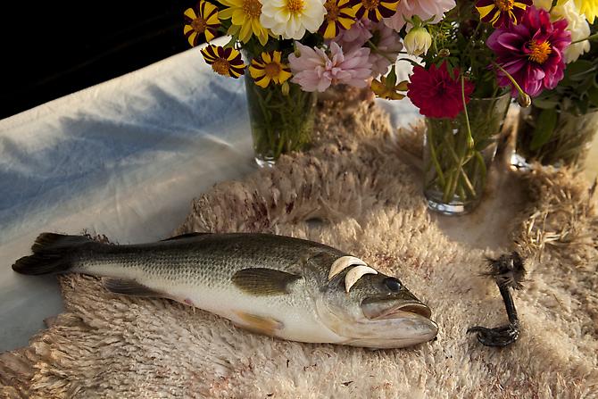 Suko Presseau
Fish-Skin, 2010
dual channel video, 2:11 min (loop)